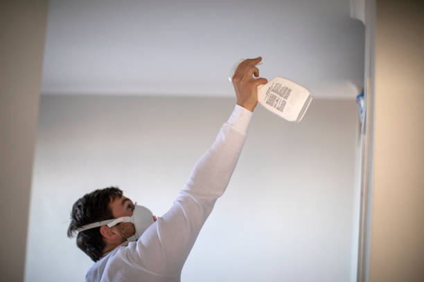 Best Mold Removal Specialists  in Weiser, ID