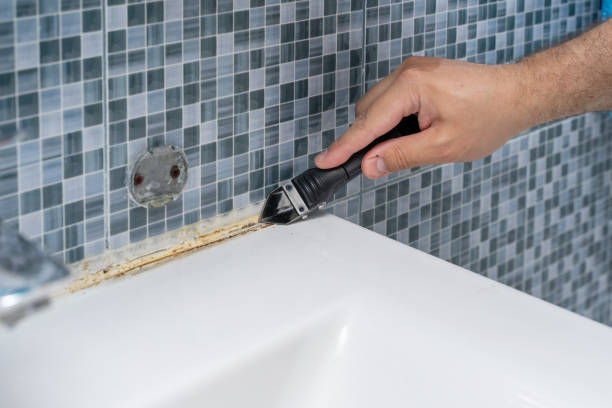 Home Mold Removal in Weiser, ID