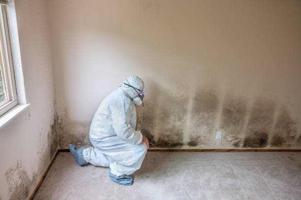 Water Damage Restoration in Weiser, ID